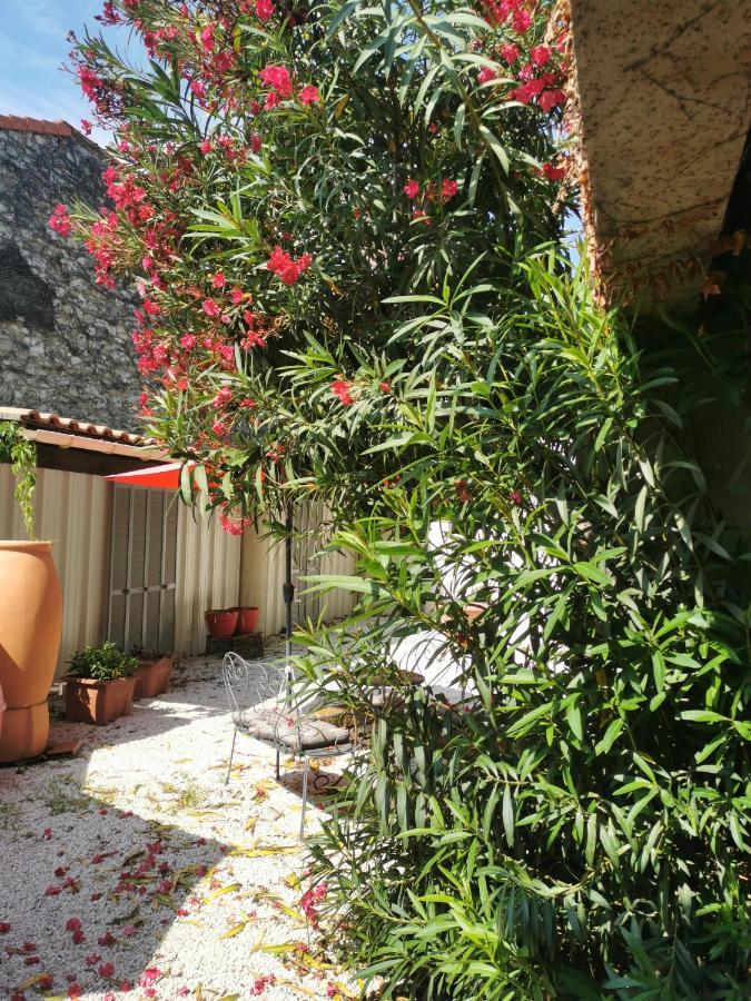 Les De Marie Appartement Avignon